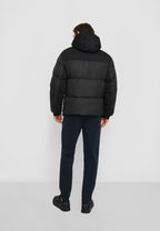 Giubbino Nero TOMMY HILFIGER 4500495652 BDS Uomo 