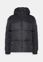 Giubbino Nero TOMMY HILFIGER 4500495652 BDS Uomo 